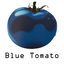 Blue Tomato