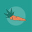 Willie Wortel Sativa