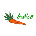 Willie Wortel Indica