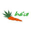 Willie Wortel Indica